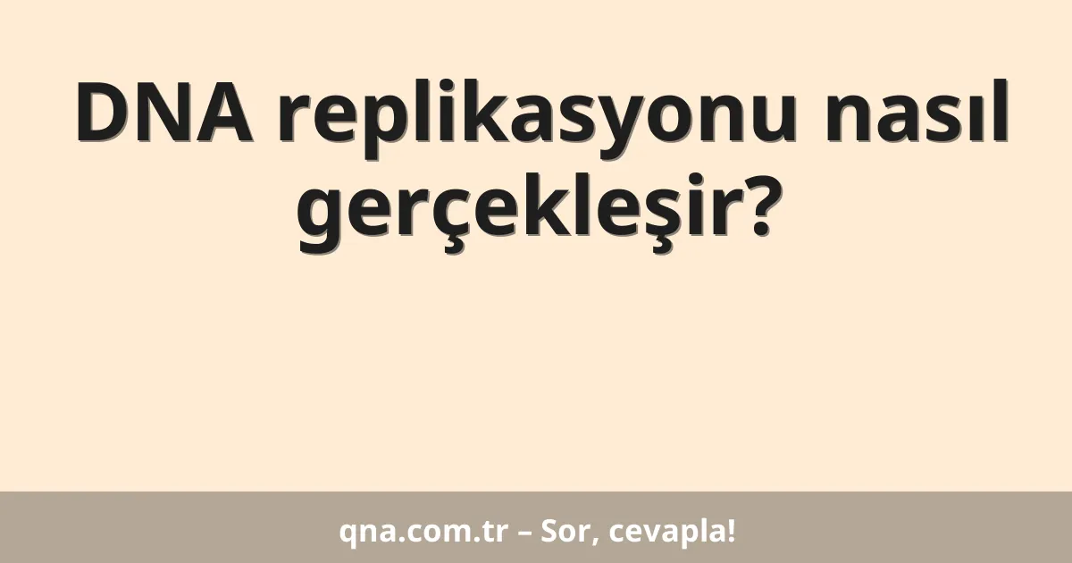 DNA replikasyonu nasıl gerçekleşir?