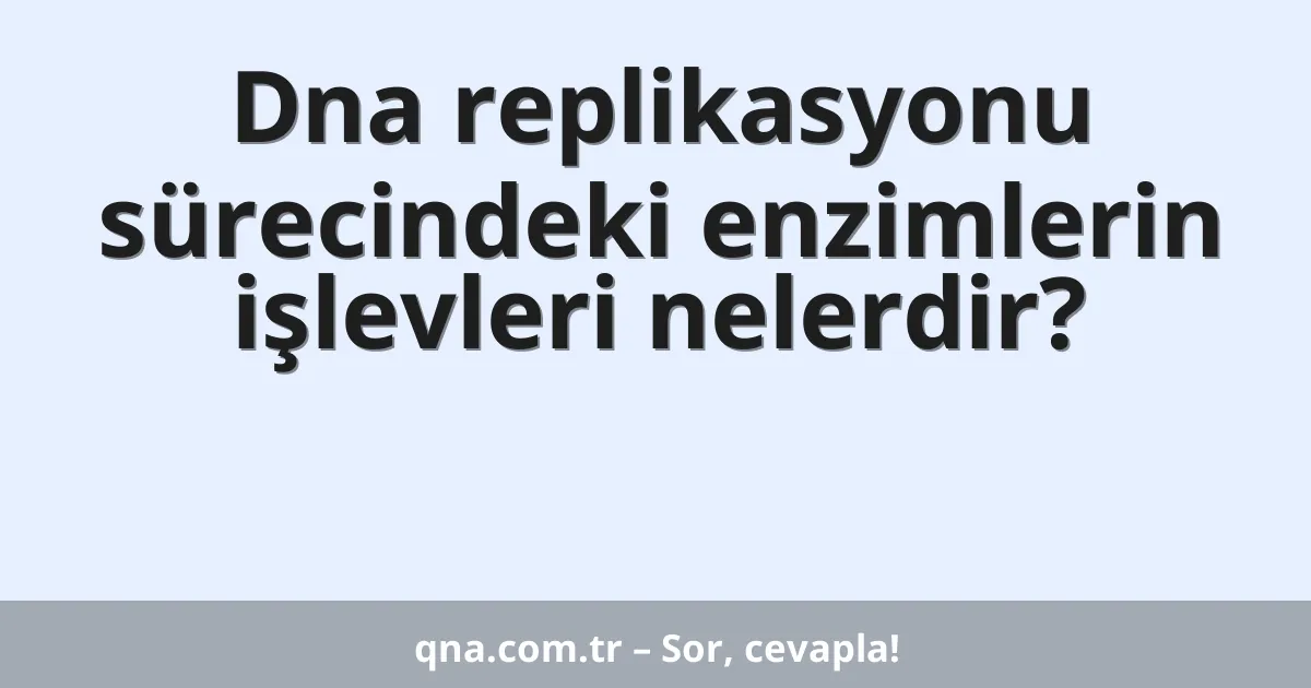 Dna replikasyonu sürecindeki enzimlerin işlevleri nelerdir?