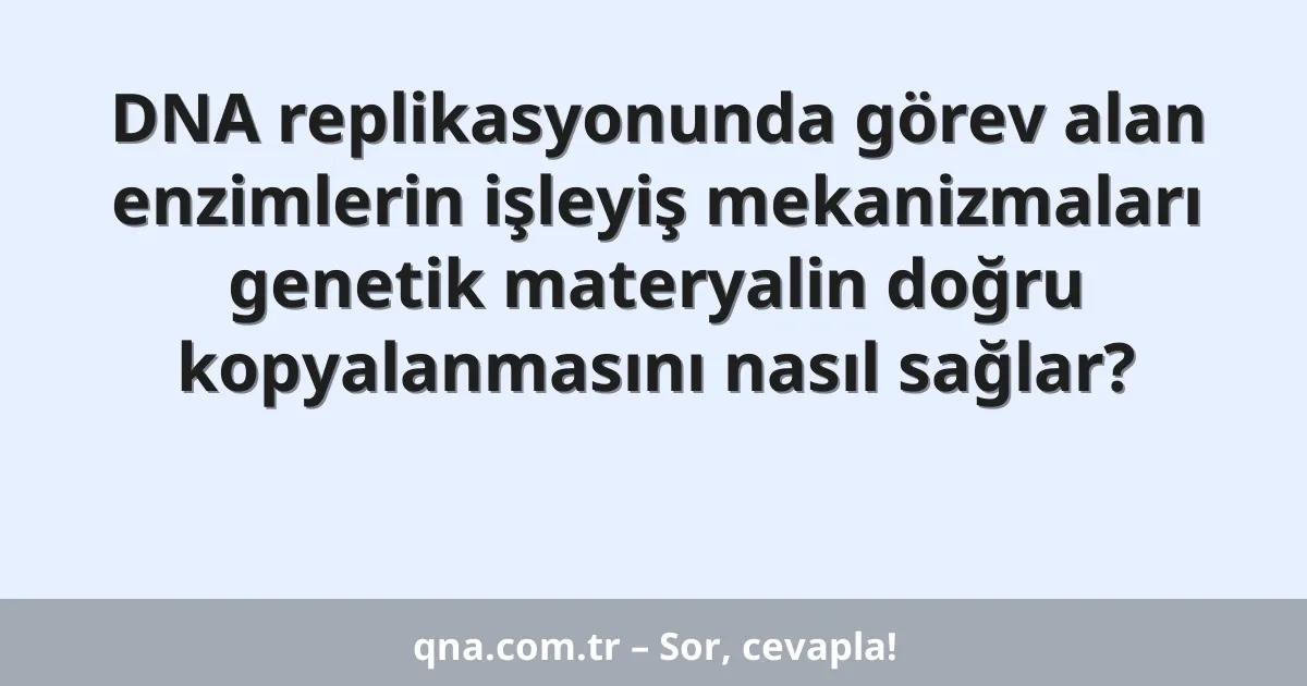 DNA replikasyonunda görev alan enzimlerin işleyiş mekanizmaları genetik materyalin doğru kopyalanmasını nasıl sağlar?
