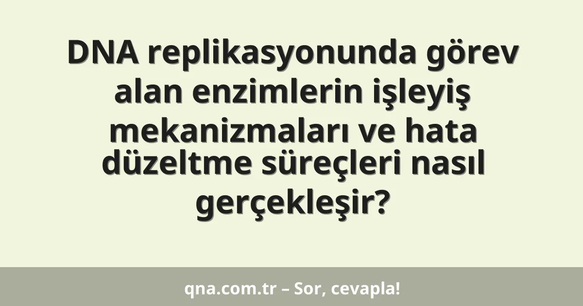 DNA replikasyonunda görev alan enzimlerin işleyiş mekanizmaları ve hata düzeltme süreçleri nasıl gerçekleşir?