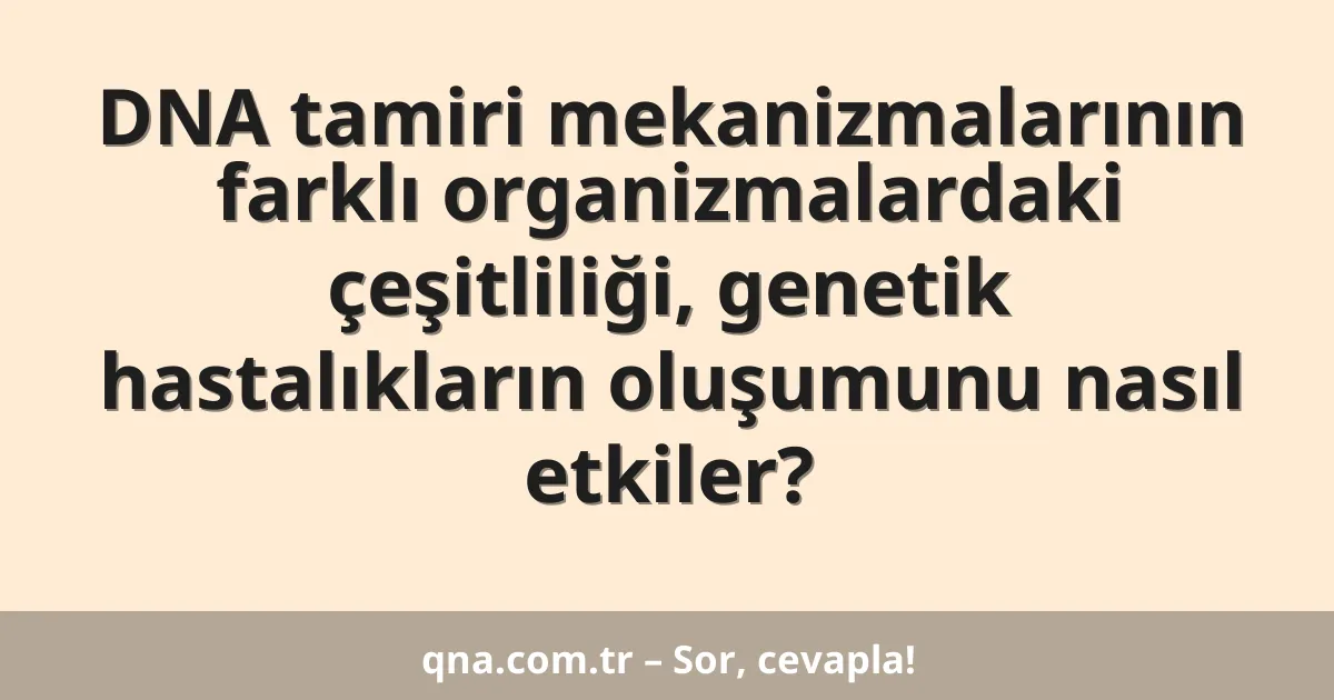 DNA tamiri mekanizmalarının farklı organizmalardaki çeşitliliği, genetik hastalıkların oluşumunu nasıl etkiler?