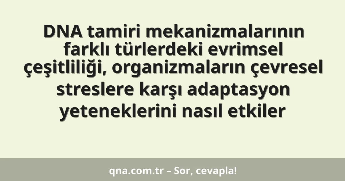 DNA tamiri mekanizmalarının farklı türlerdeki evrimsel çeşitliliği, organizmaların çevresel streslere karşı adaptasyon yeteneklerini nasıl etkiler