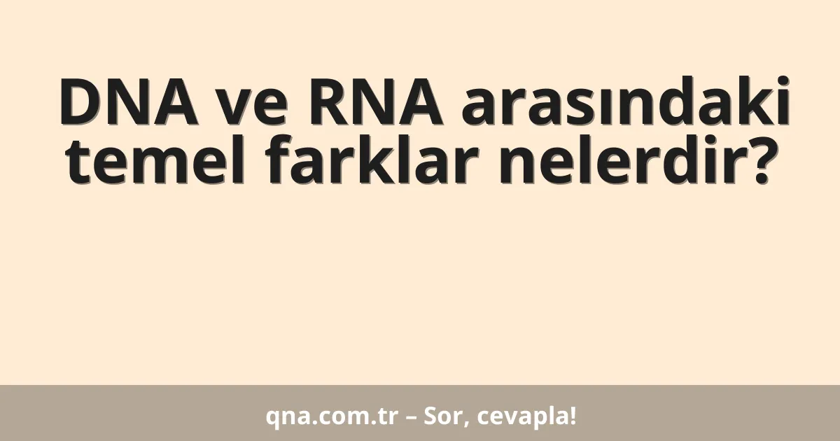 DNA ve RNA arasındaki temel farklar nelerdir?