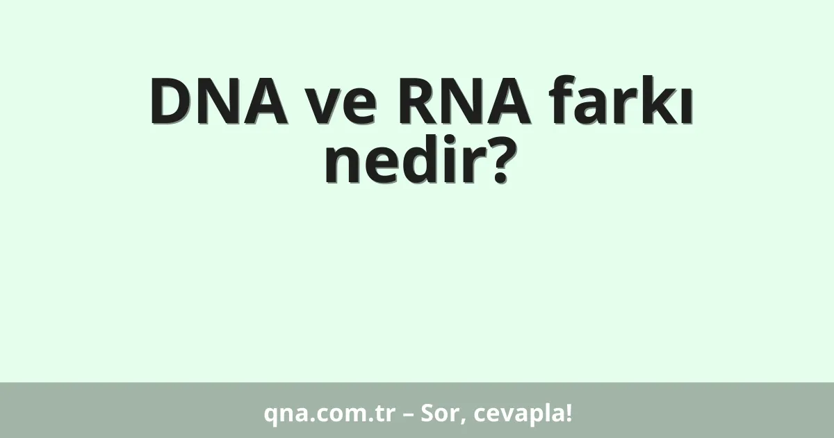 DNA ve RNA farkı nedir?