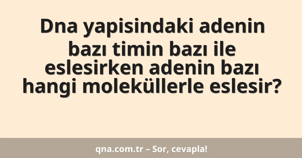 Dna yapisindaki adenin bazı timin bazı ile eslesirken adenin bazı hangi moleküllerle eslesir?