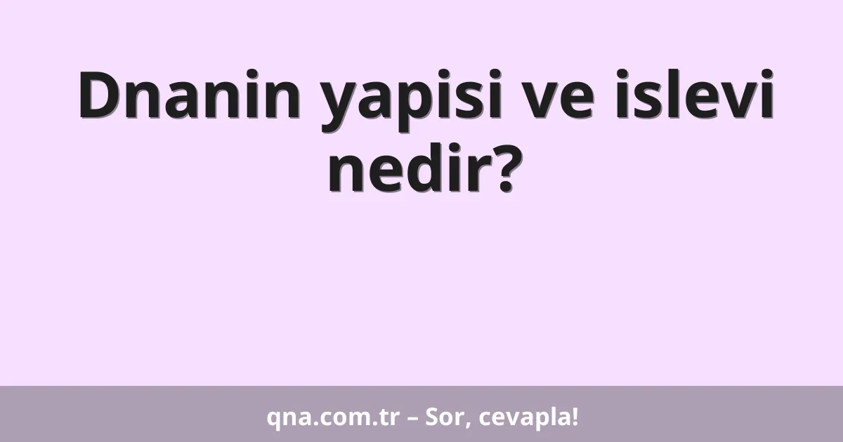 Dnanin yapisi ve islevi nedir?