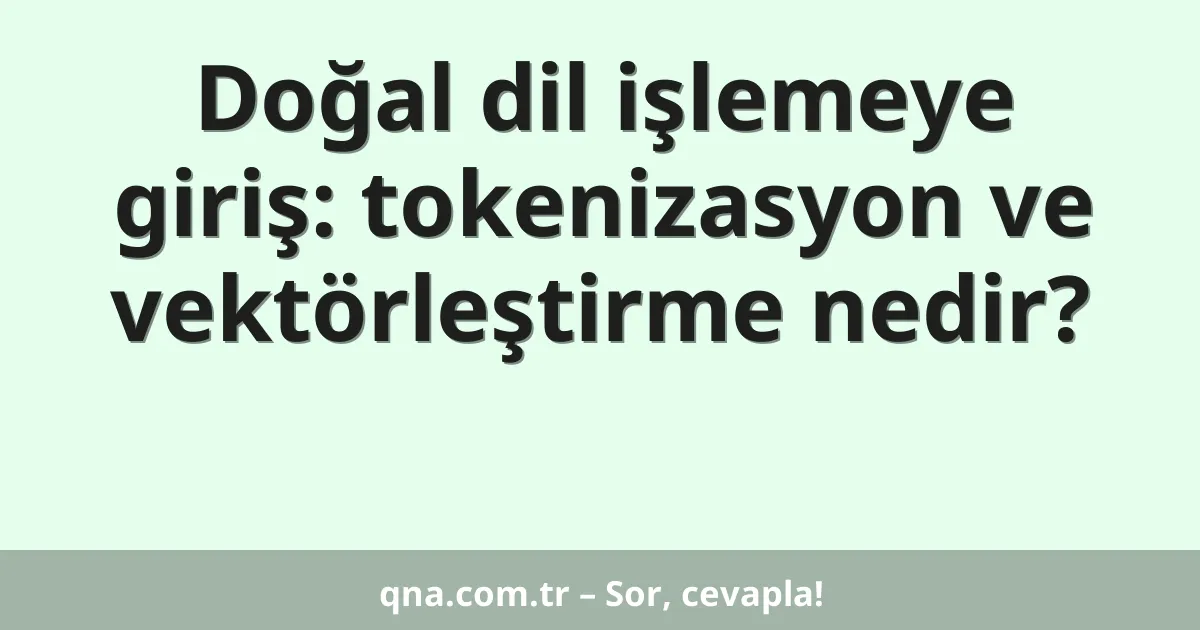 Doğal dil işlemeye giriş: tokenizasyon ve vektörleştirme nedir?