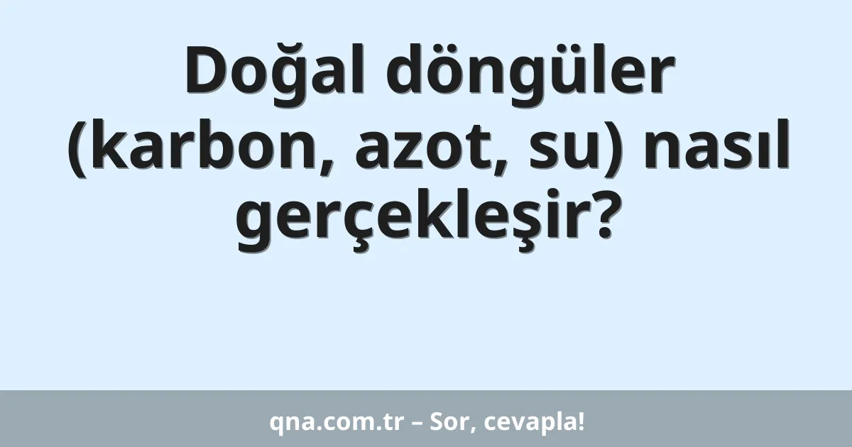 Doğal döngüler (karbon, azot, su) nasıl gerçekleşir?