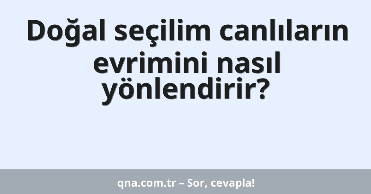 Doğal seçilim canlıların evrimini nasıl yönlendirir?