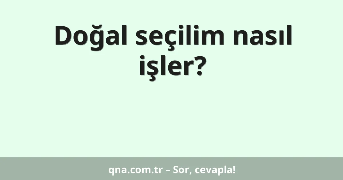 Doğal seçilim nasıl işler?