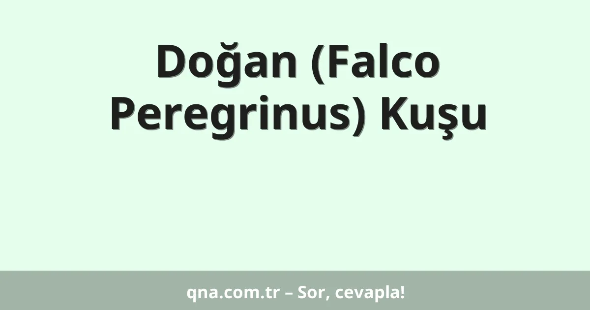 Doğan (Falco Peregrinus) Kuşu