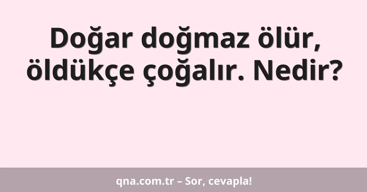 Doğar doğmaz ölür, öldükçe çoğalır. Nedir?