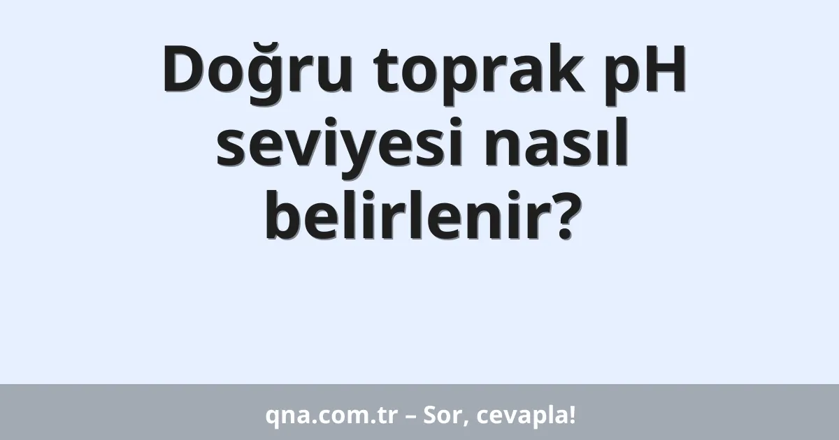 Doğru toprak pH seviyesi nasıl belirlenir?