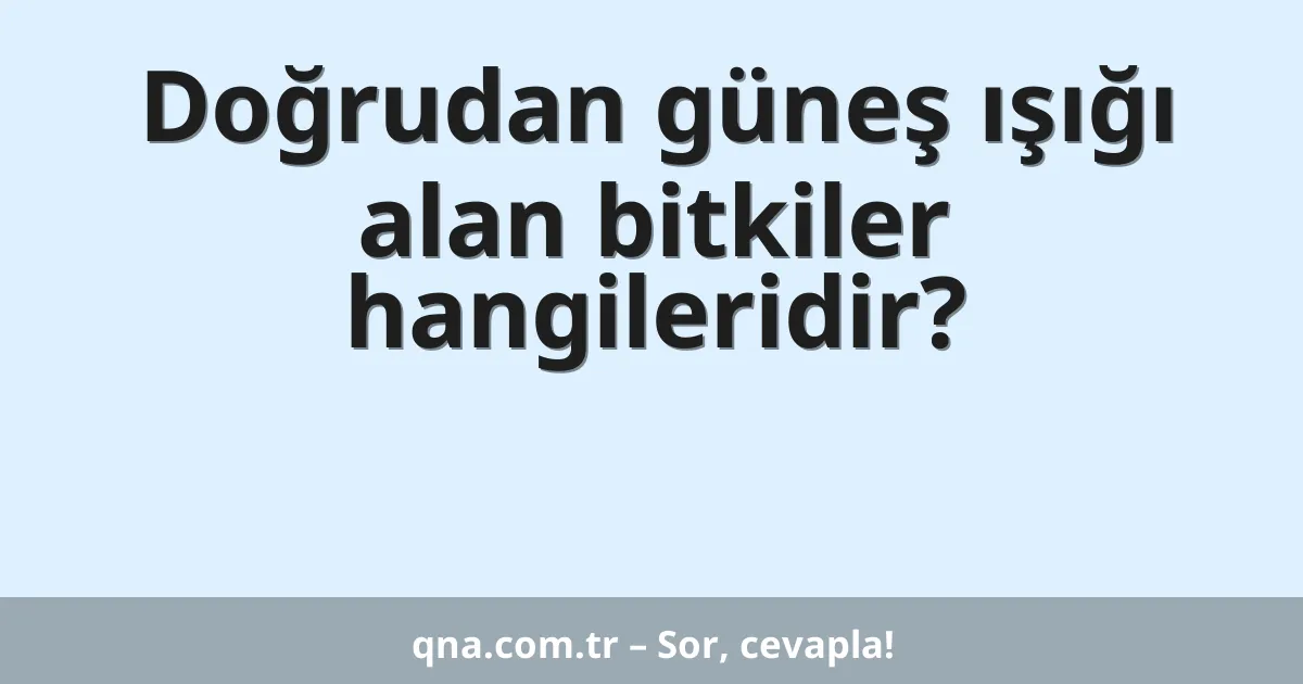 Doğrudan güneş ışığı alan bitkiler hangileridir?