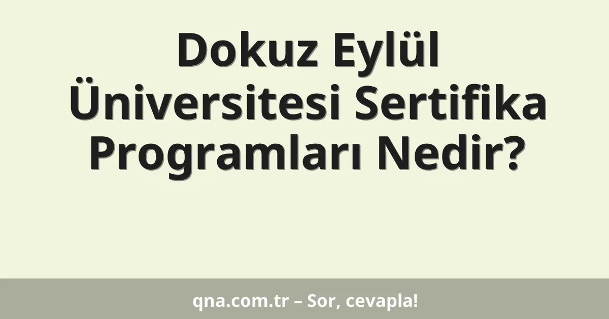 Dokuz Eylül Üniversitesi Sertifika Programları Nedir?