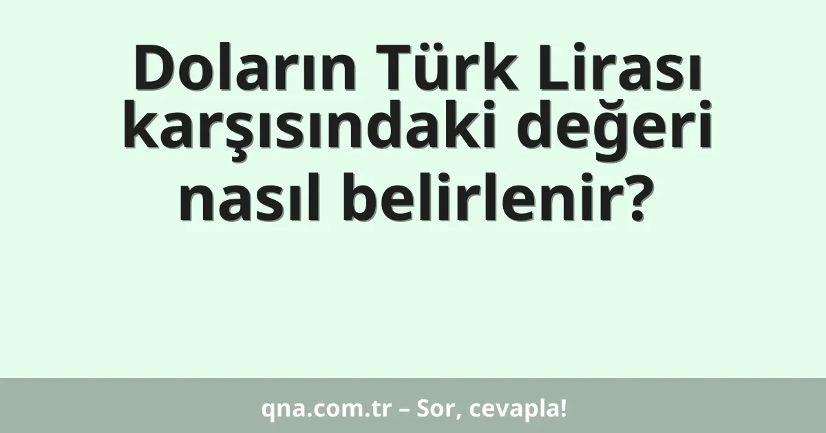 Doların Türk Lirası karşısındaki değeri nasıl belirlenir?