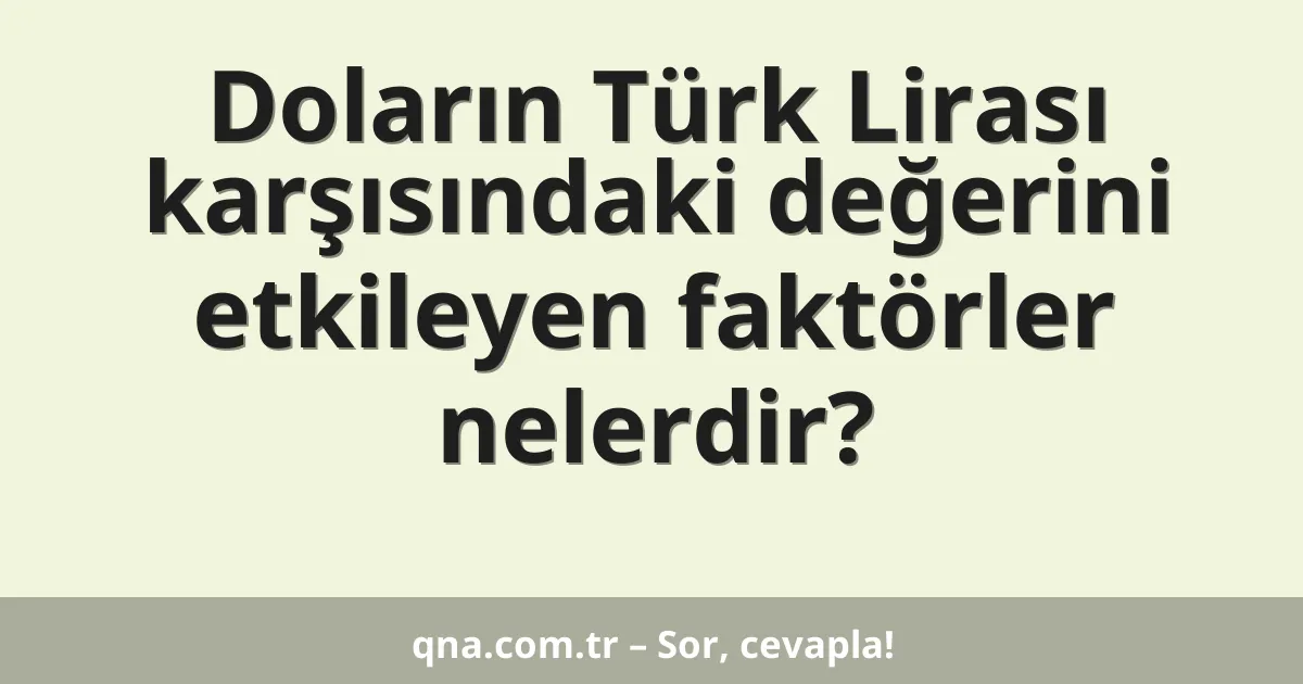 Doların Türk Lirası karşısındaki değerini etkileyen faktörler nelerdir?