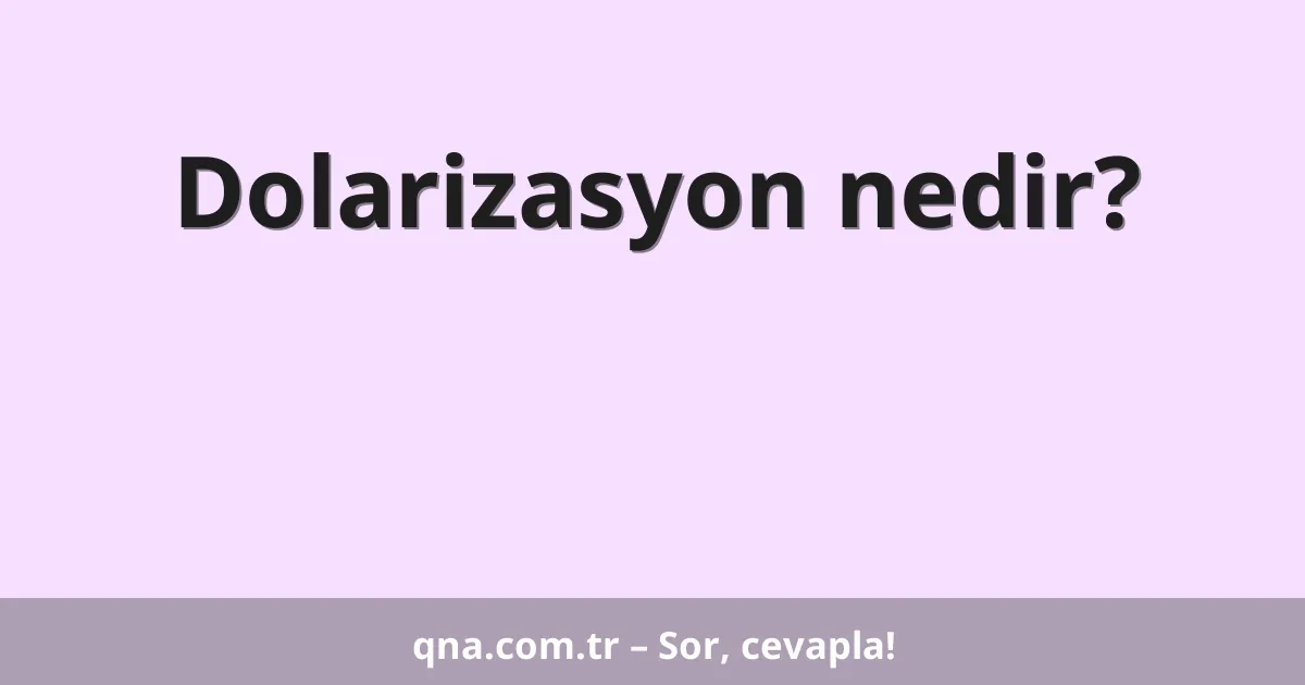 Dolarizasyon nedir?