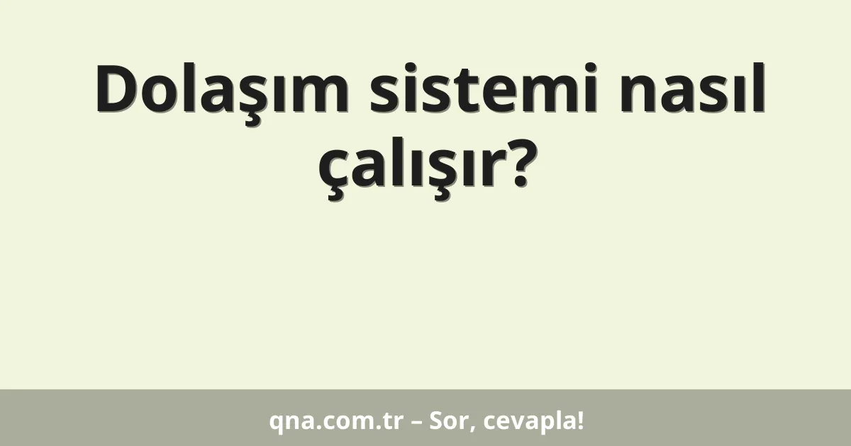 Dolaşım sistemi nasıl çalışır?