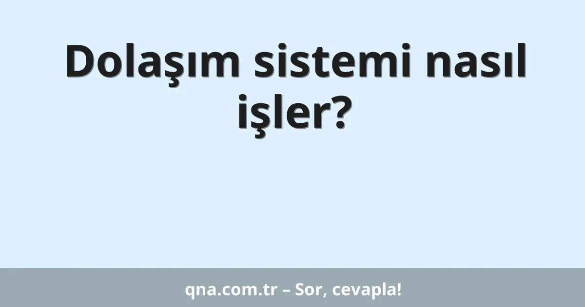 Dolaşım sistemi nasıl işler?