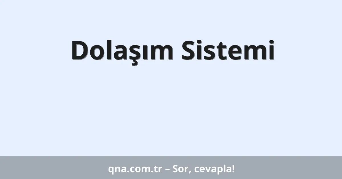 Dolaşım Sistemi