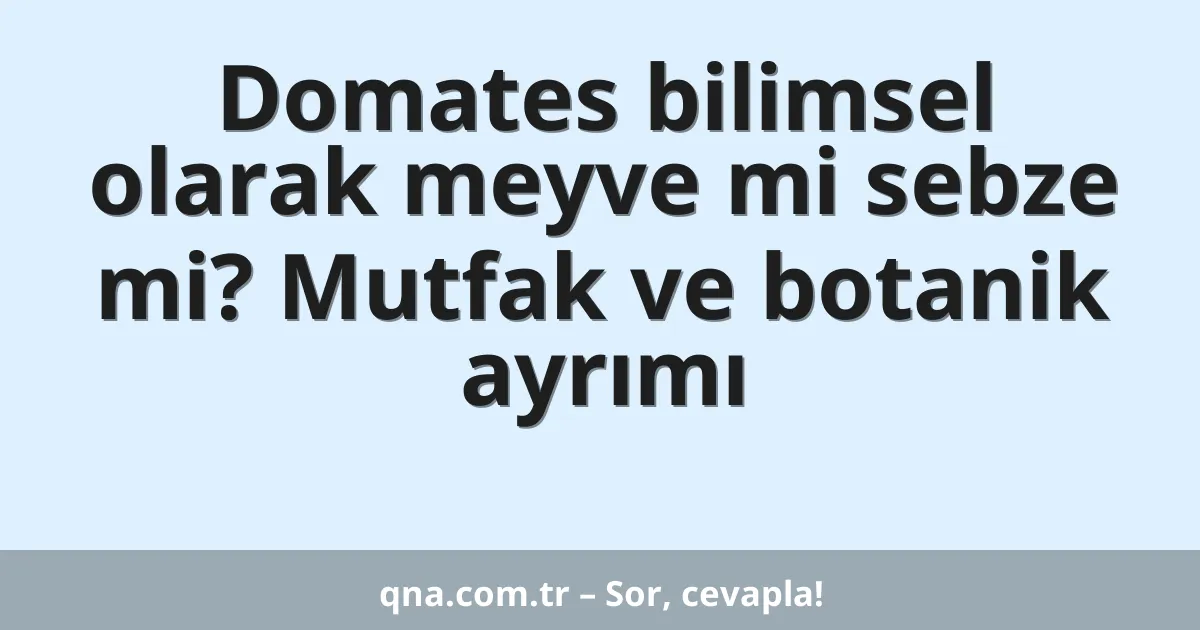 Domates bilimsel olarak meyve mi sebze mi? Mutfak ve botanik ayrımı