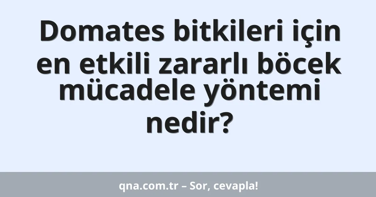 Domates bitkileri için en etkili zararlı böcek mücadele yöntemi nedir?