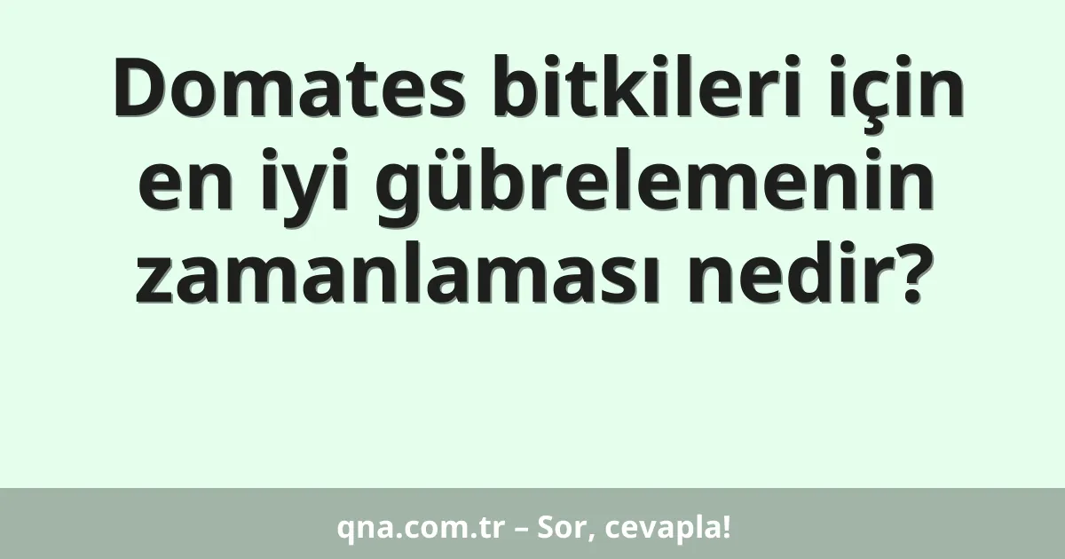 Domates bitkileri için en iyi gübrelemenin zamanlaması nedir?