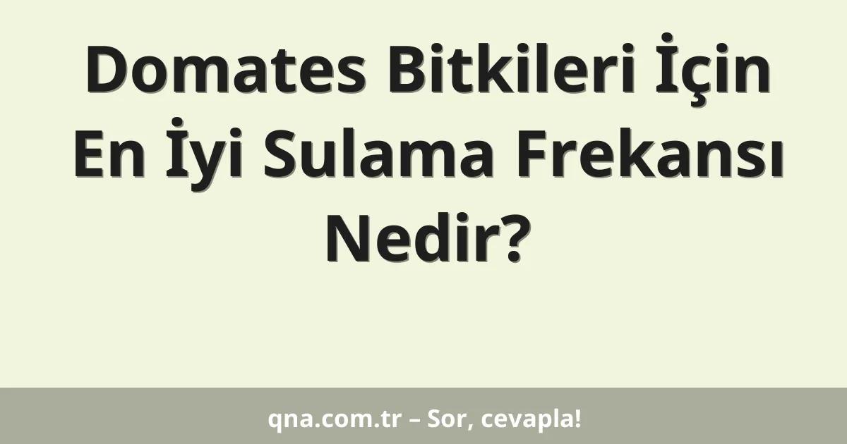 Domates Bitkileri İçin En İyi Sulama Frekansı Nedir?