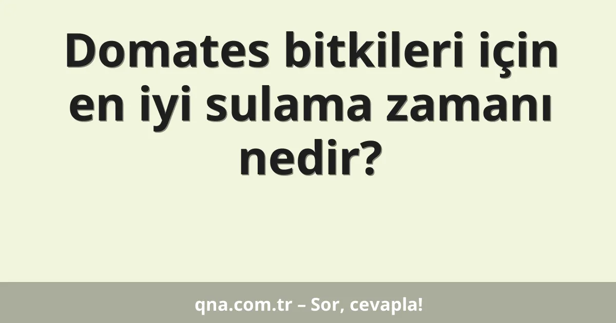 Domates bitkileri için en iyi sulama zamanı nedir?