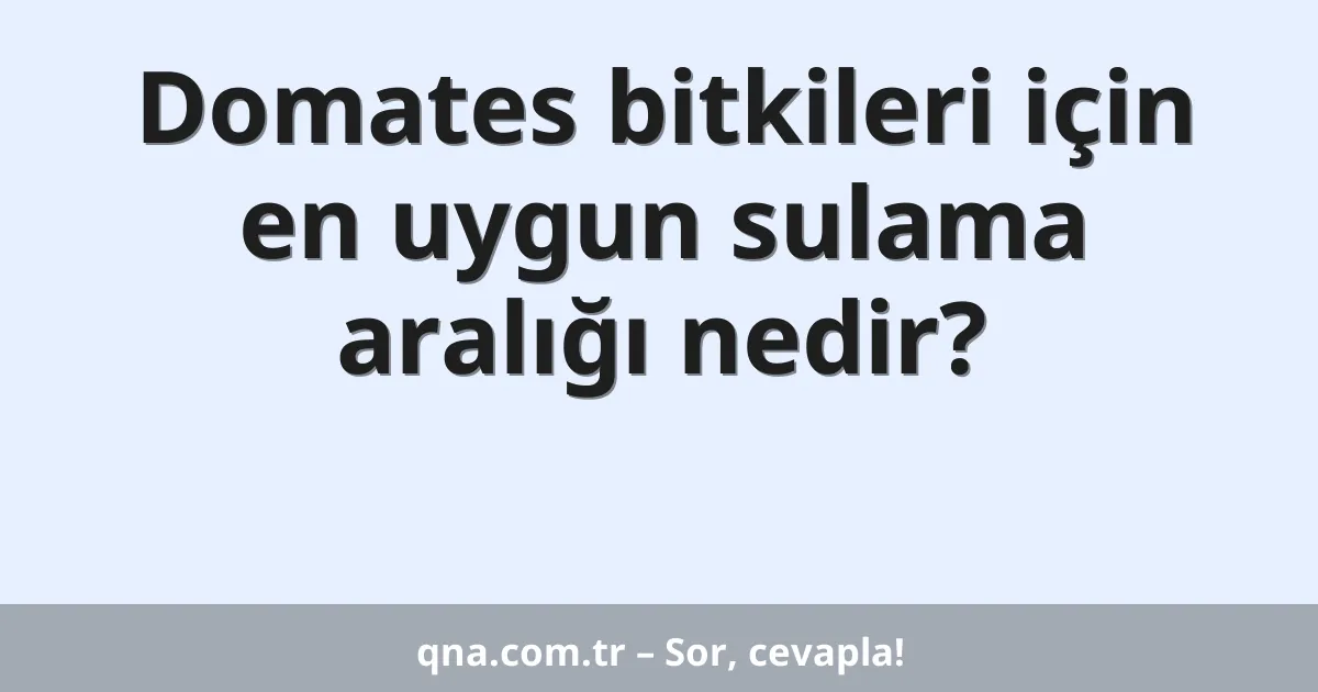 Domates bitkileri için en uygun sulama aralığı nedir?