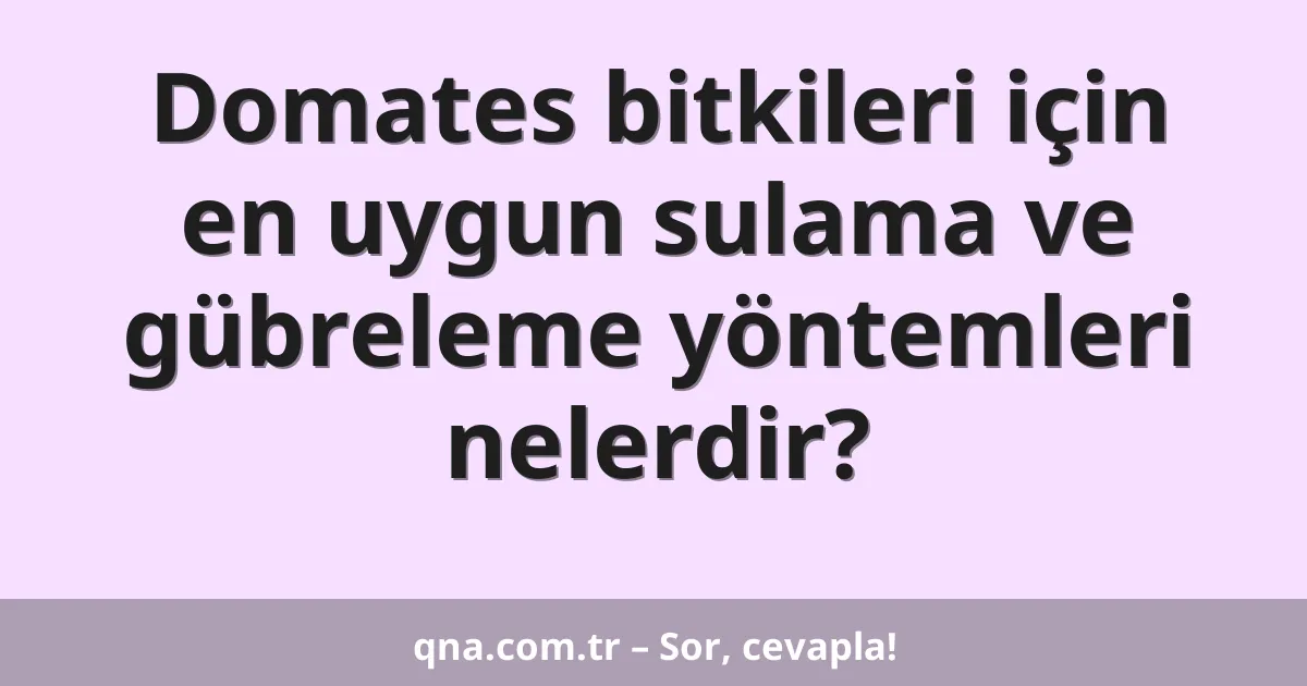 Domates bitkileri için en uygun sulama ve gübreleme yöntemleri nelerdir?
