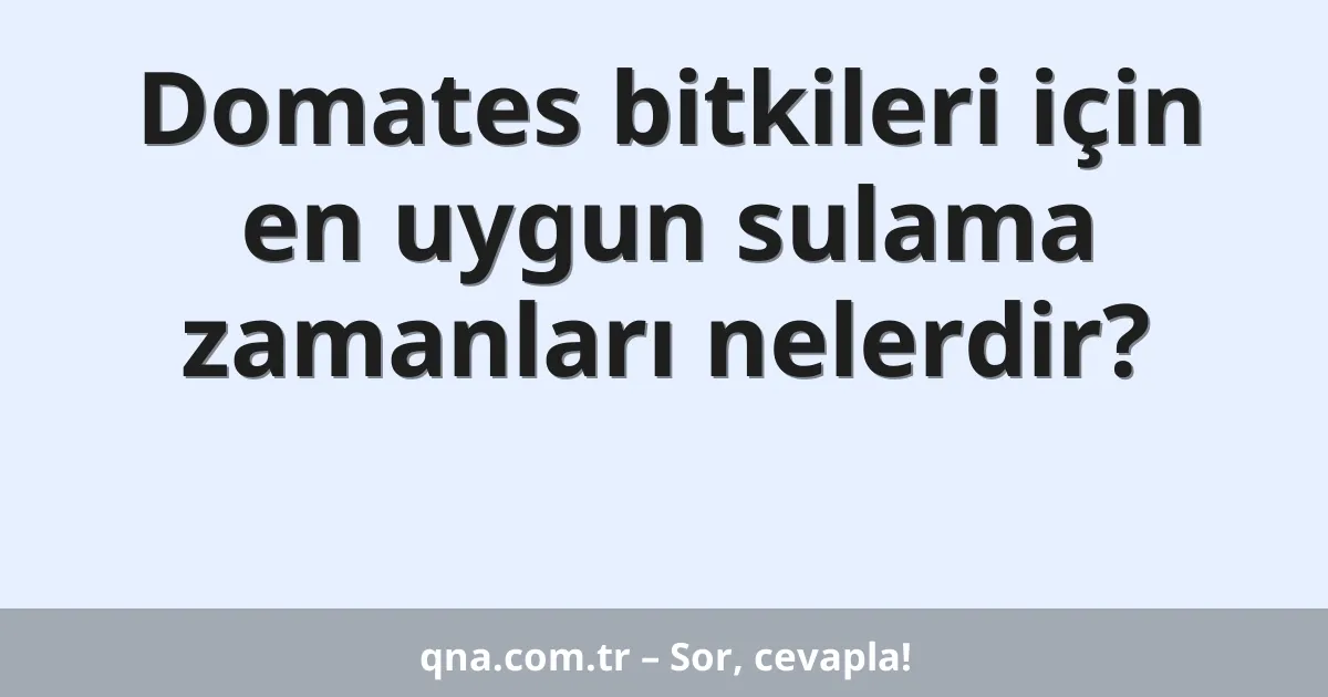 Domates bitkileri için en uygun sulama zamanları nelerdir?