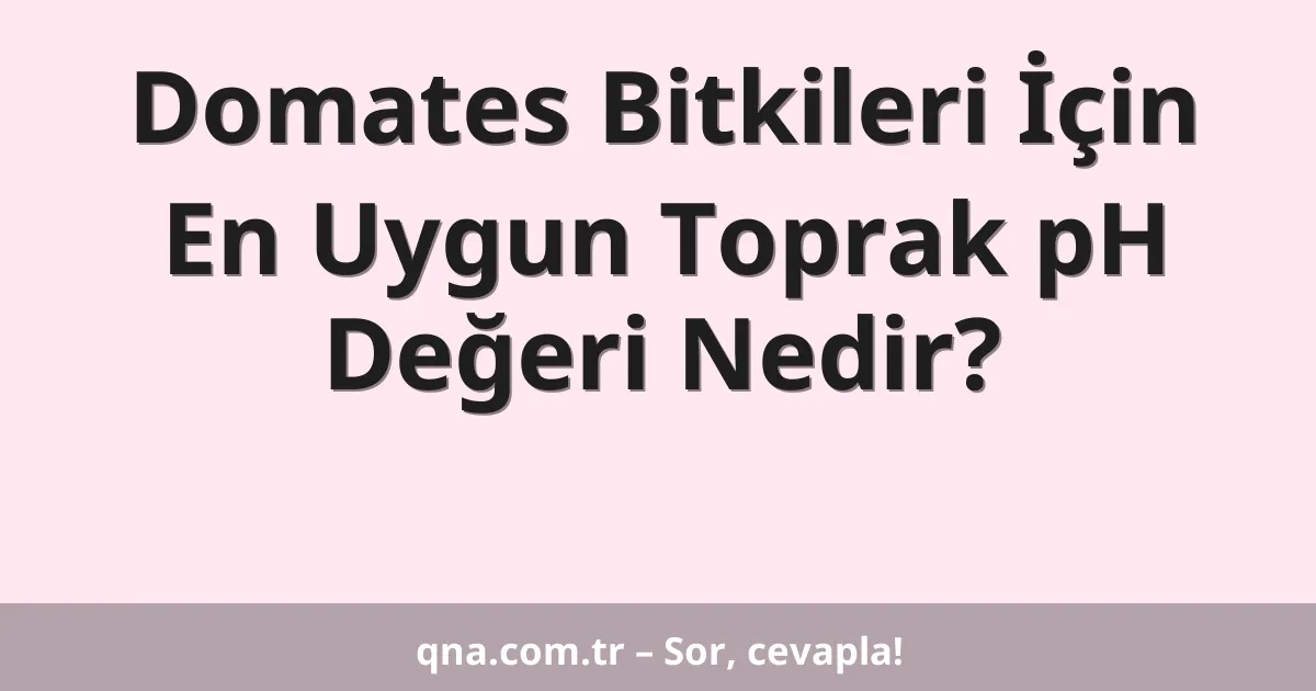 Domates Bitkileri İçin En Uygun Toprak pH Değeri Nedir?