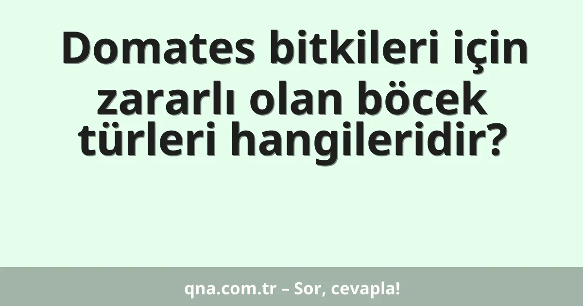 Domates bitkileri için zararlı olan böcek türleri hangileridir?