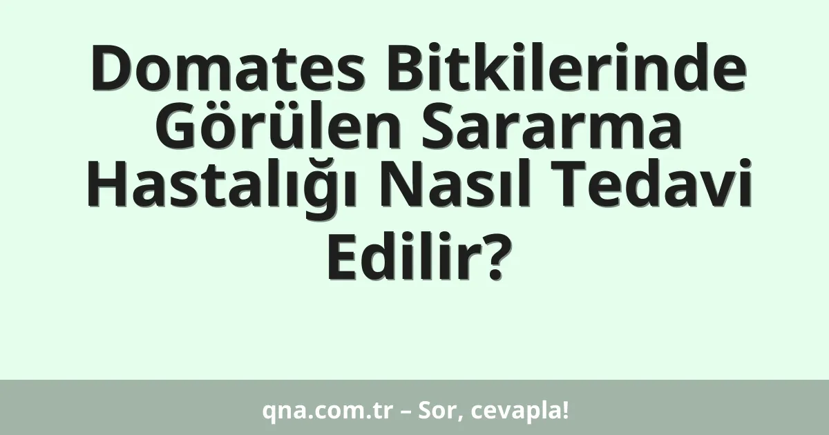 Domates Bitkilerinde Görülen Sararma Hastalığı Nasıl Tedavi Edilir?