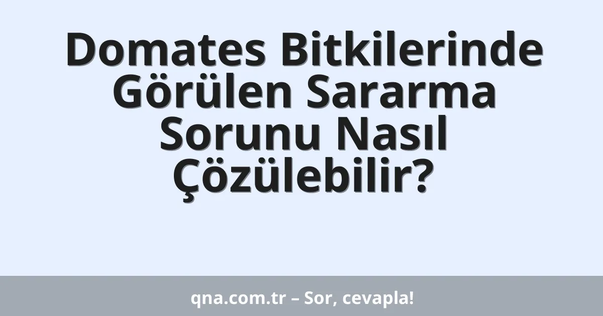 Domates Bitkilerinde Görülen Sararma Sorunu Nasıl Çözülebilir?