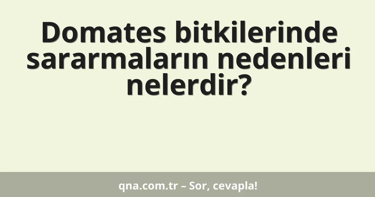 Domates bitkilerinde görülen sararmaların nedenleri nelerdir?