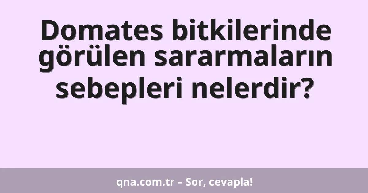 Domates bitkilerinde görülen sararmaların sebepleri nelerdir?