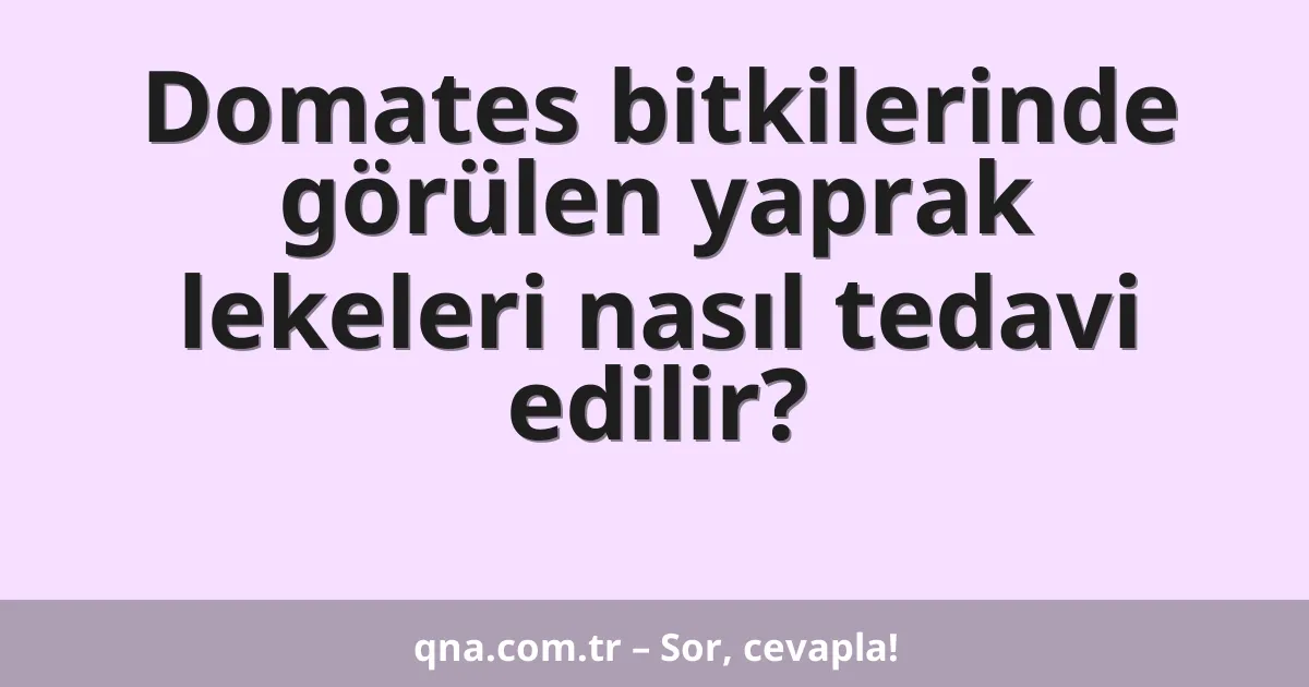 Domates bitkilerinde görülen yaprak lekeleri nasıl tedavi edilir?