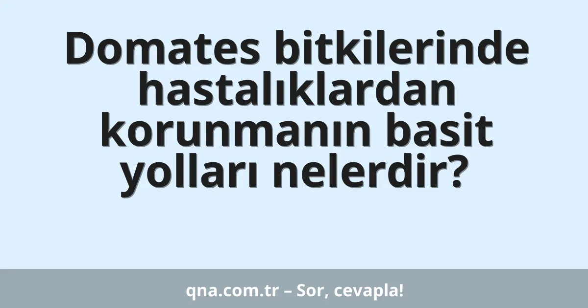 Domates bitkilerinde hastalıklardan korunmanın basit yolları nelerdir?