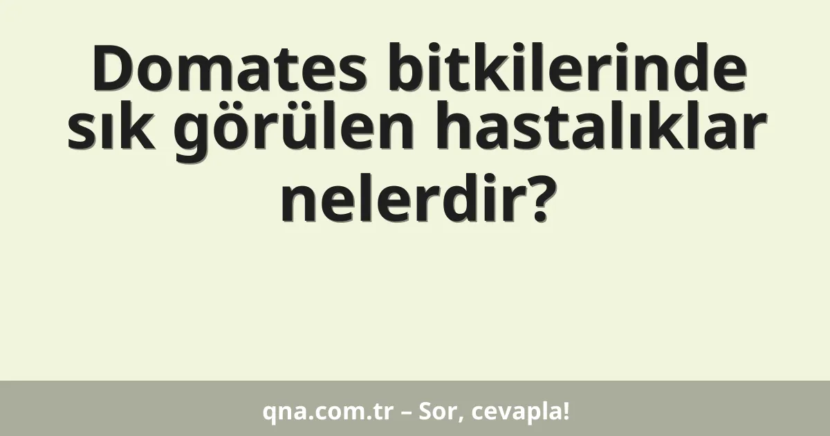 Domates bitkilerinde sık görülen hastalıklar nelerdir?