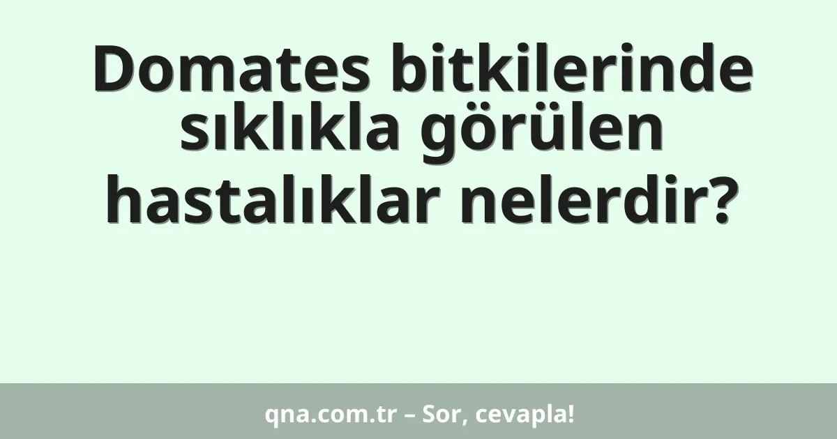 Domates bitkilerinde sıklıkla görülen hastalıklar nelerdir?