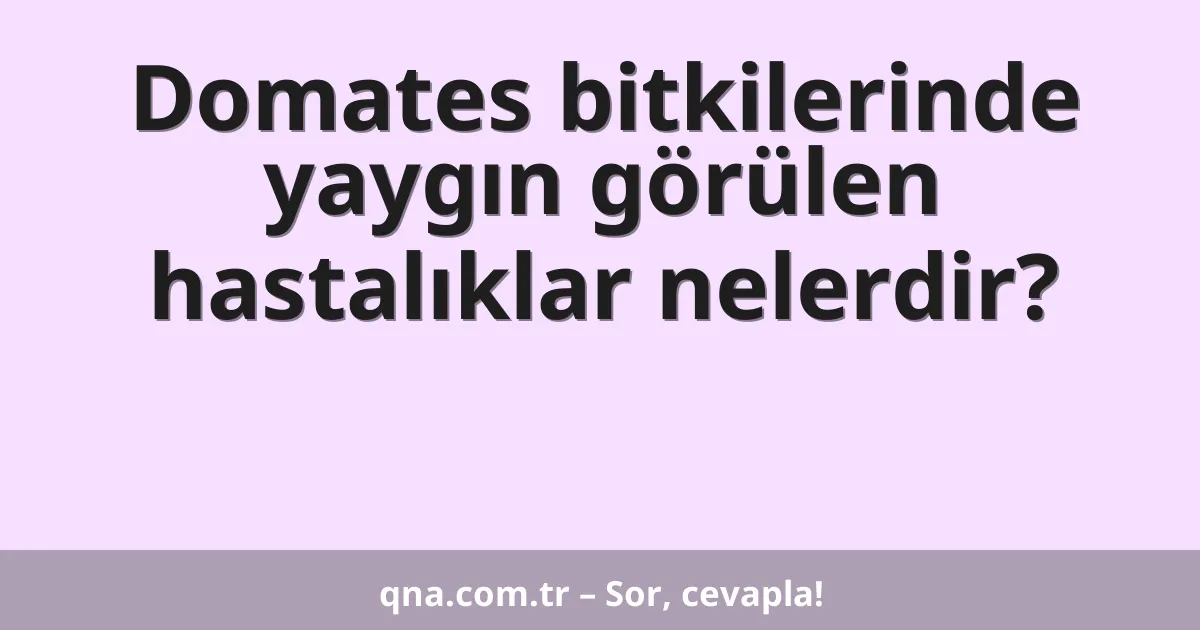 Domates bitkilerinde yaygın görülen hastalıklar nelerdir?