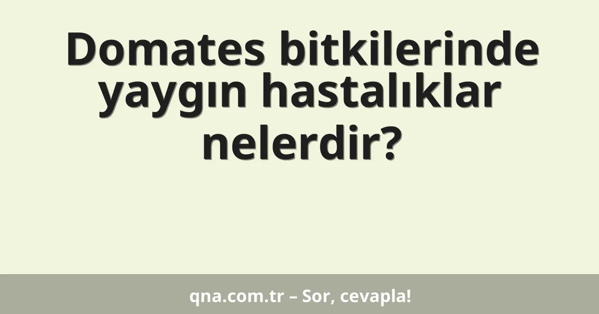 Domates bitkilerinde yaygın hastalıklar nelerdir?