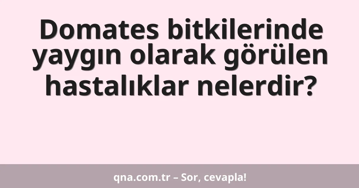 Domates bitkilerinde yaygın olarak görülen hastalıklar nelerdir?