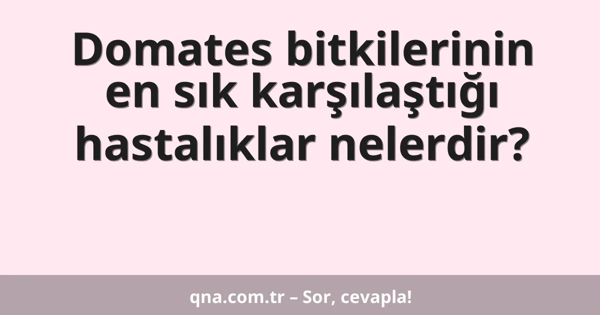 Domates bitkilerinin en sık karşılaştığı hastalıklar nelerdir?