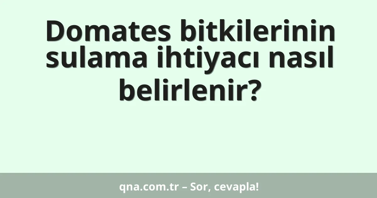 Domates bitkilerinin sulama ihtiyacı nasıl belirlenir?