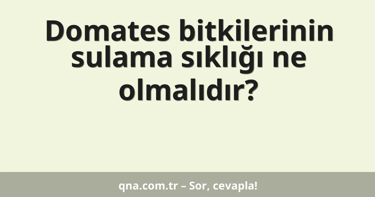 Domates bitkilerinin sulama sıklığı ne olmalıdır?