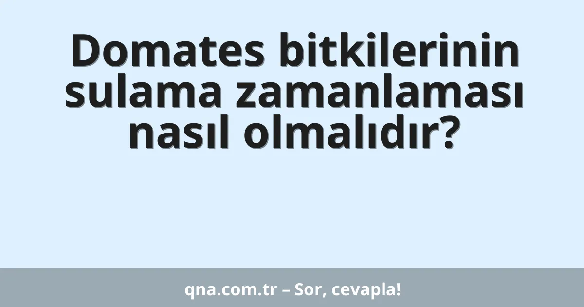 Domates bitkilerinin sulama zamanlaması nasıl olmalıdır?
